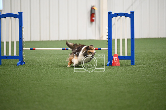 LMP_8204
