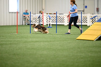 LMP_8211