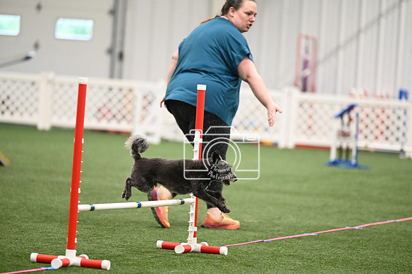 LMP_8238