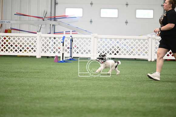 LMP_2471