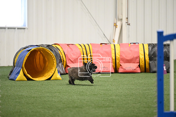 LMP_1933