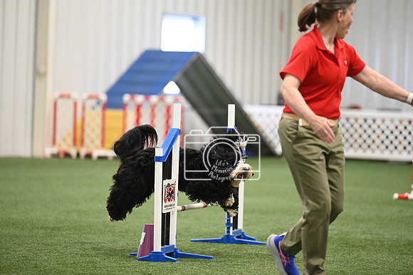 LMP_2158