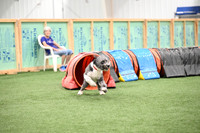 LMP_1505