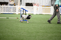 LMP_7632