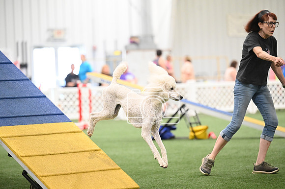 LMP_5276
