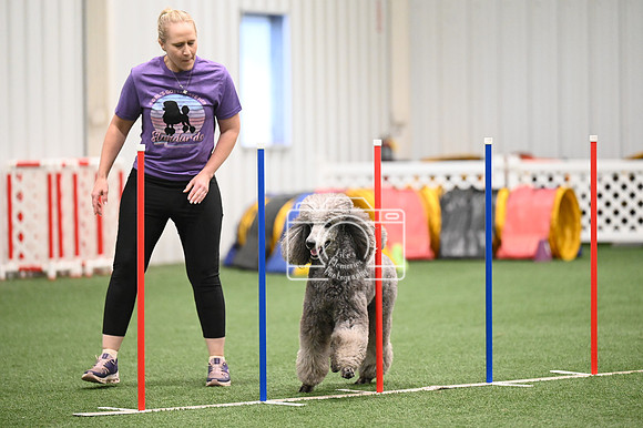 LMP_3986