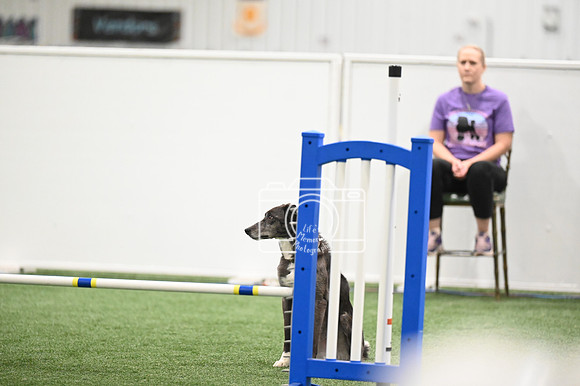 LMP_4214