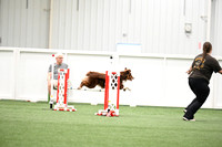 LMP_0459