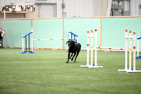 Novice Standard