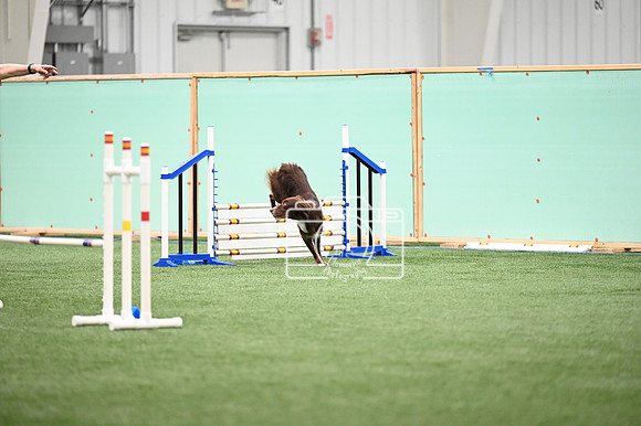 LMP_4938