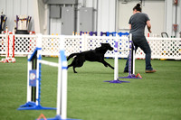Novice Jumpers