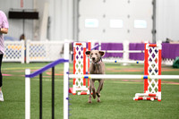 LMP_5684