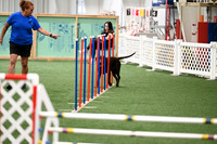 Excellent Master Jumpers - 24 & 20