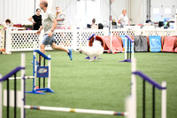 Excellent Master Jumpers - 12