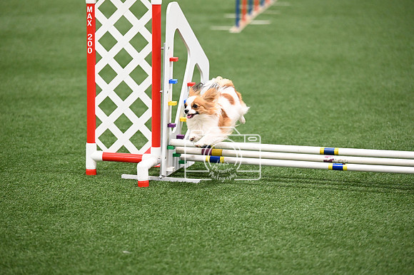 LMP_8536