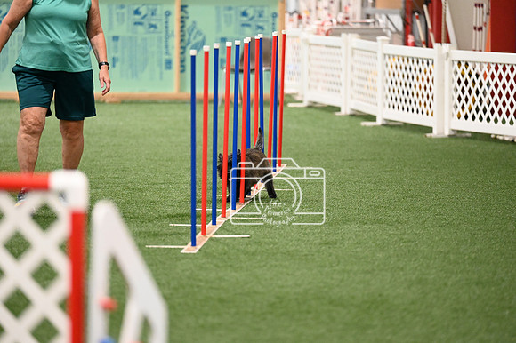 LMP_8858