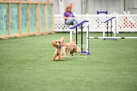 LMP_1893