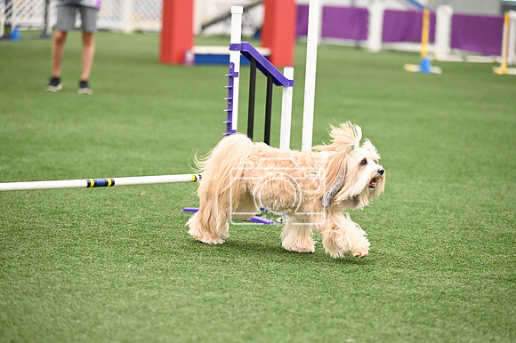 LMP_1603