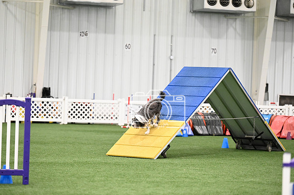 LMP_1604