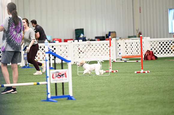 LMP_9766