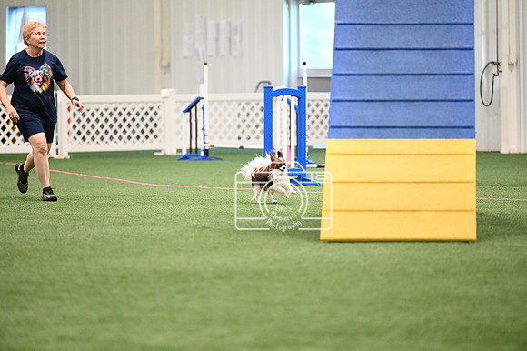 LMP_9518