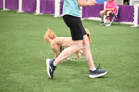 LMP_5266