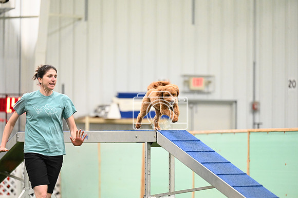 LMP_1383