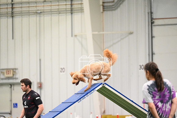 LMP_1390