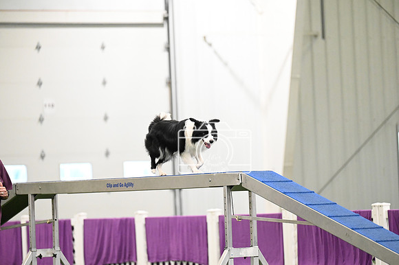 LMP_1099
