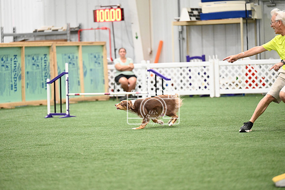 LMP_1119