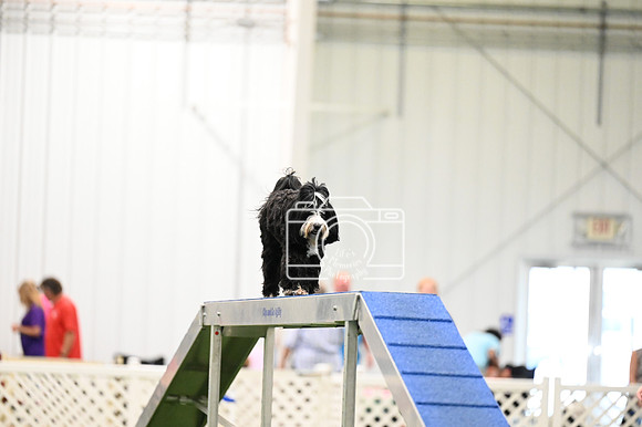 LMP_9136