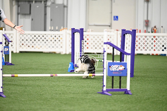 LMP_3944
