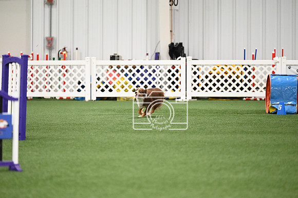 LMP_4848