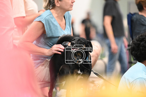 LMP_5007