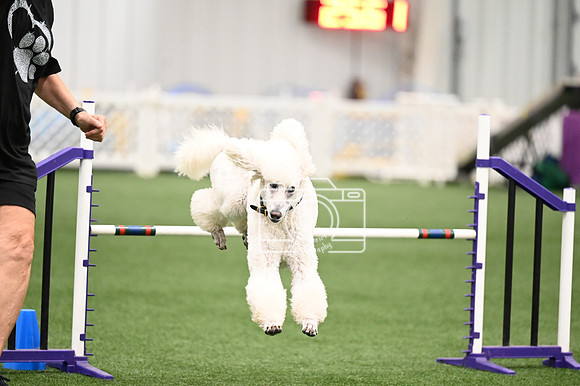 LMP_5067