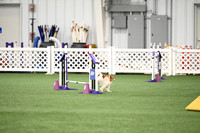 LMP_0010