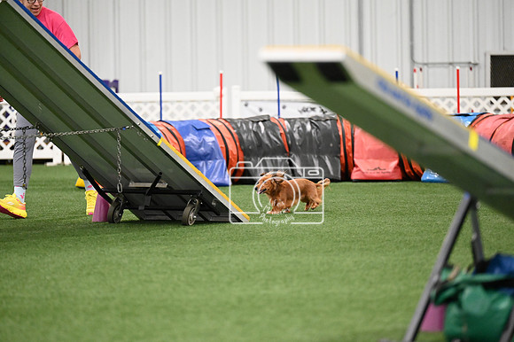 LMP_9928