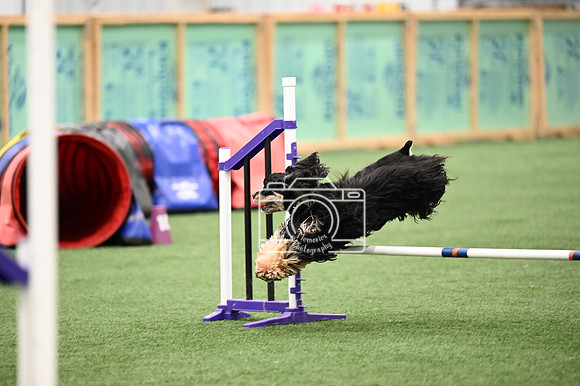 LMP_0360