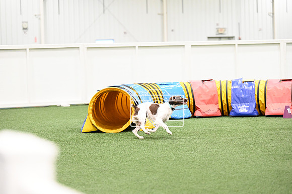 LMP_0578