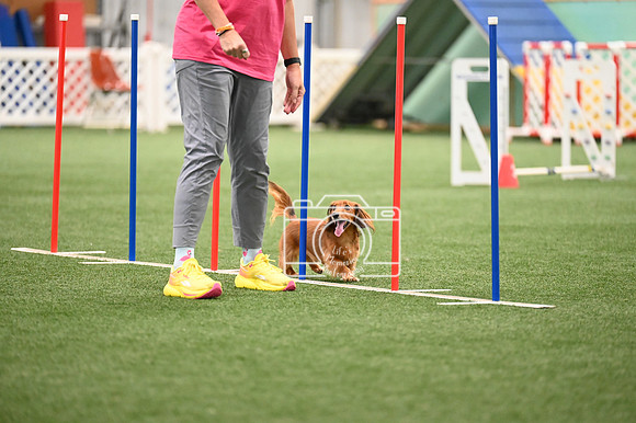 LMP_2416