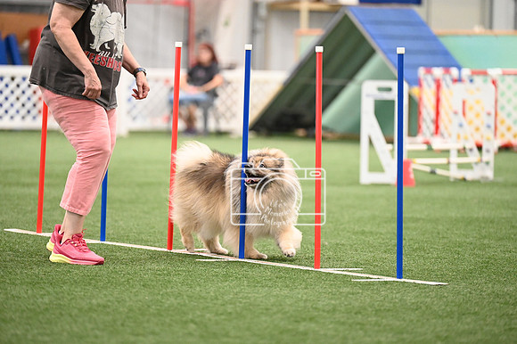 LMP_3049