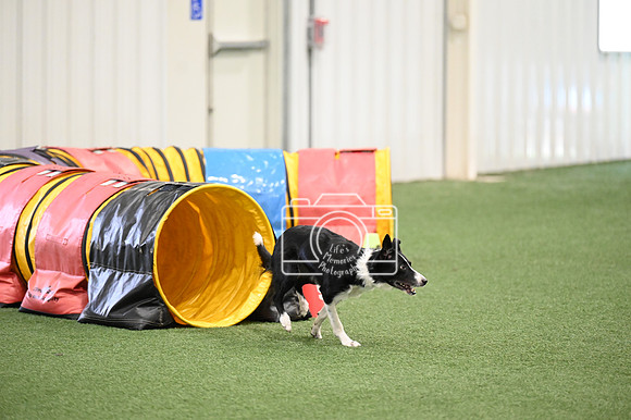 LMP_3366