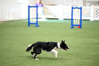 LMP_3368