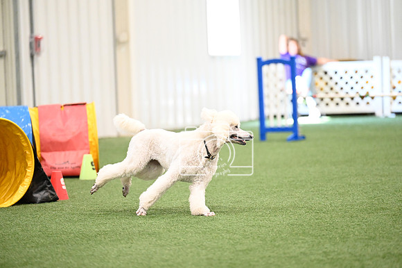 LMP_3580