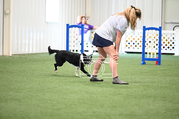 LMP_3622