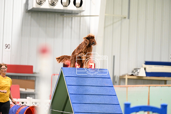 LMP_9611