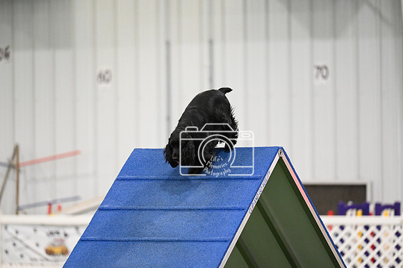 LMP_8788