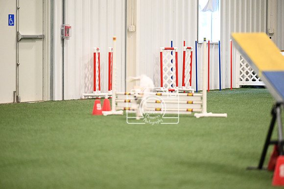 LMP_8328