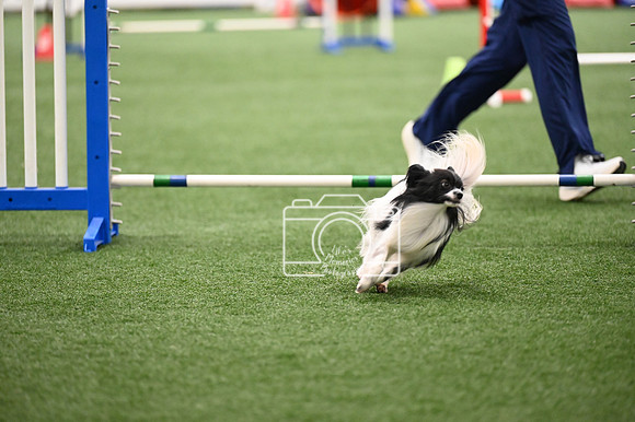 LMP_9512