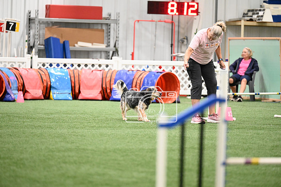 LMP_5604